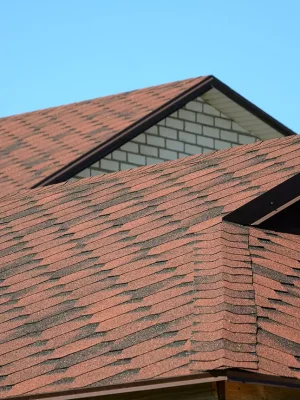 the-roof-is-covered-with-bituminous-shingles.webp
